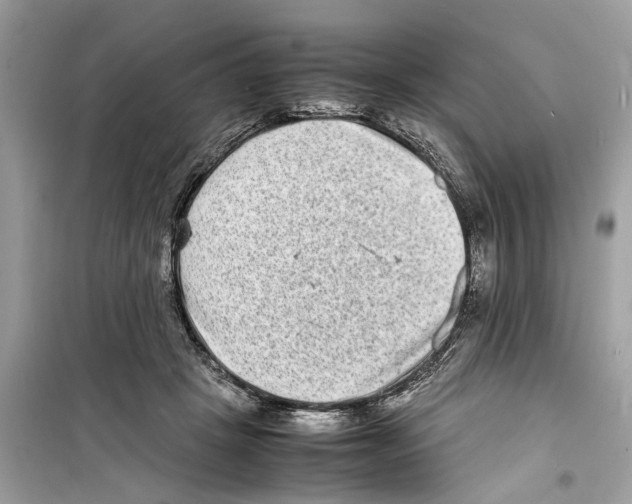 X0000098220457200805221652