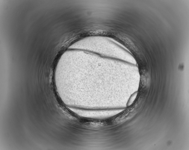 X0000098220458200805221652