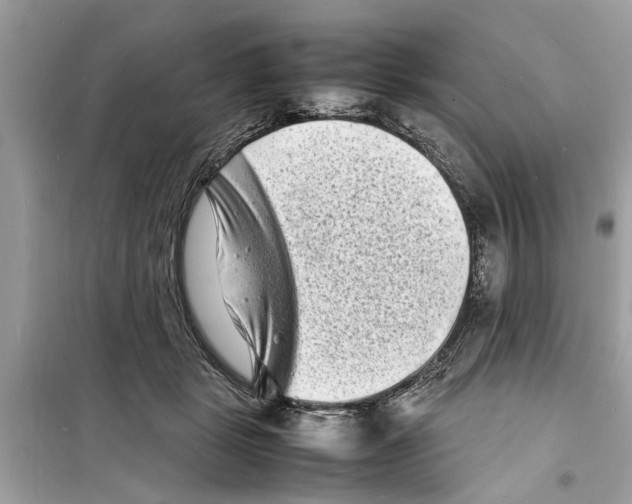 X0000098220461200805221652