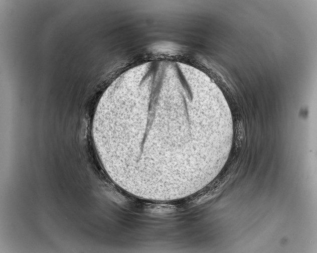 X0000098220463200805221652