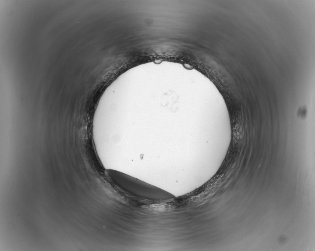 X0000098220464200805221652