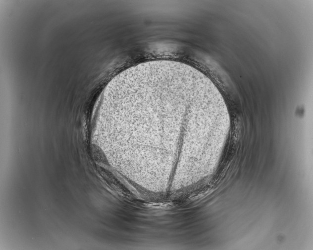 X0000098220465200805221652