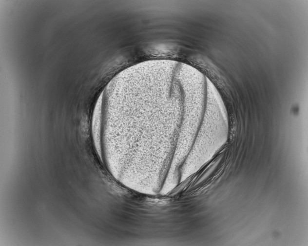 X0000098220469200805221652