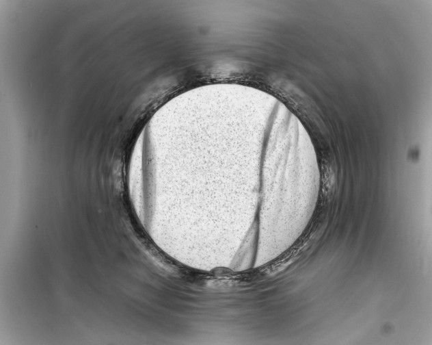 X0000098220470200805221652