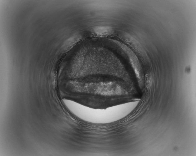 X0000098220471200805221652