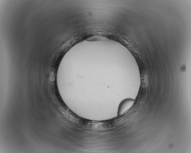 X0000098220472200805221652