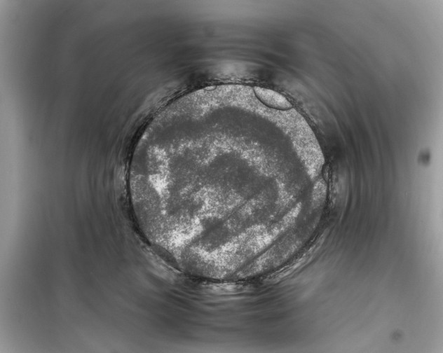 X0000098220473200805221652