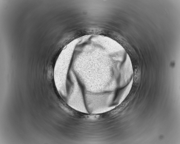 X0000098220474200805221652