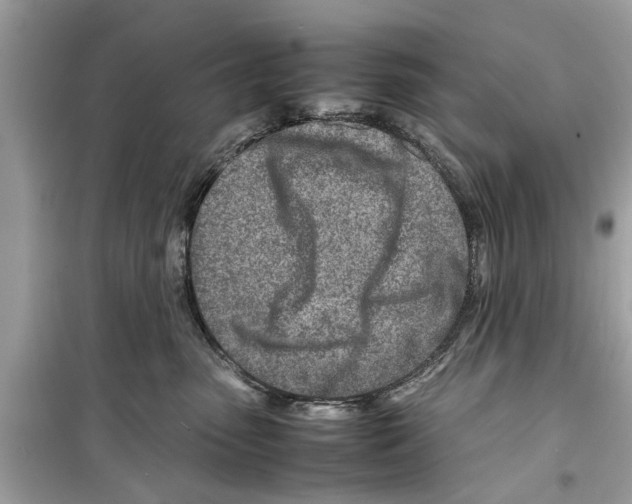X0000098220475200805221652