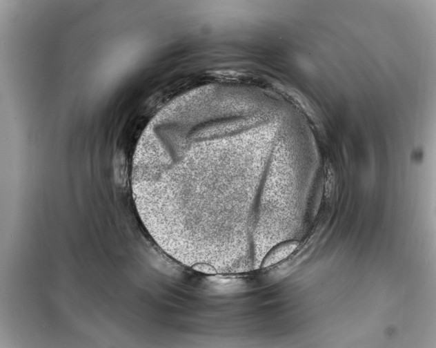 X0000098220477200805221652