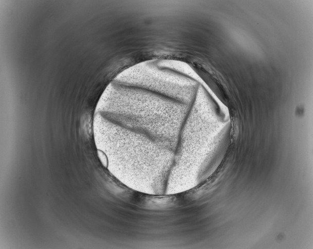 X0000098220479200805221652