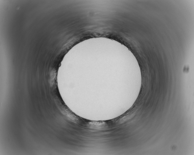 X0000098220480200805221652