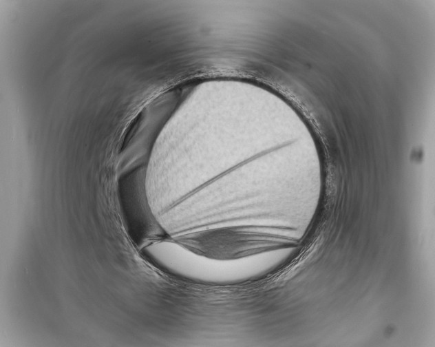 X0000098220481200805221652
