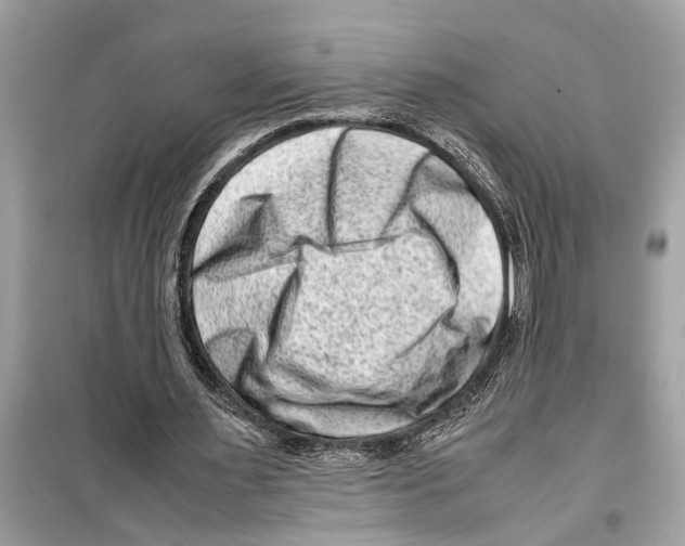 X0000098220483200805221652