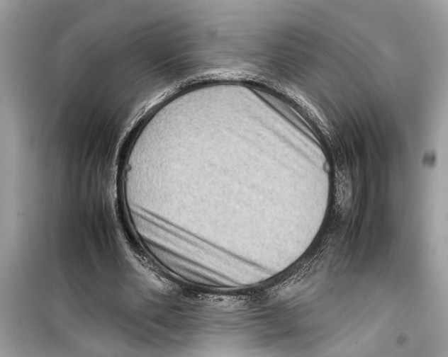 X0000098220486200805221651