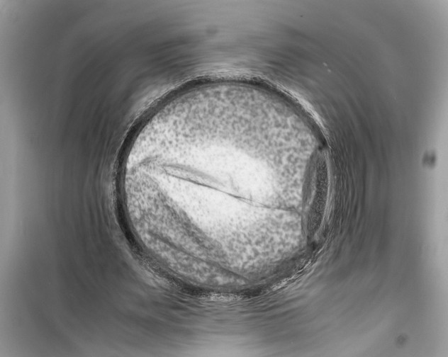 X0000098220487200805221651