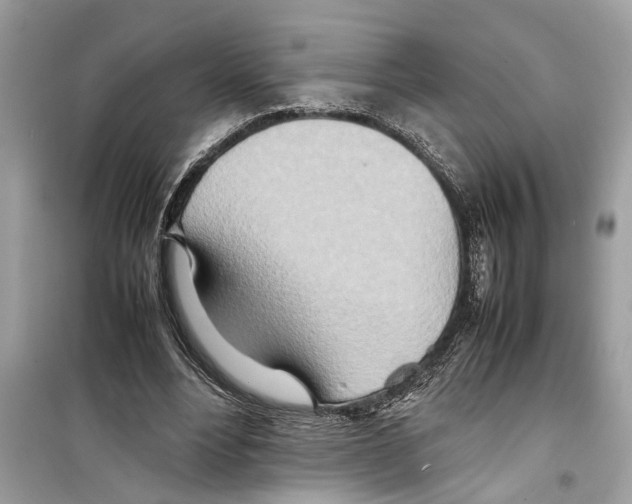 X0000098220488200805221651
