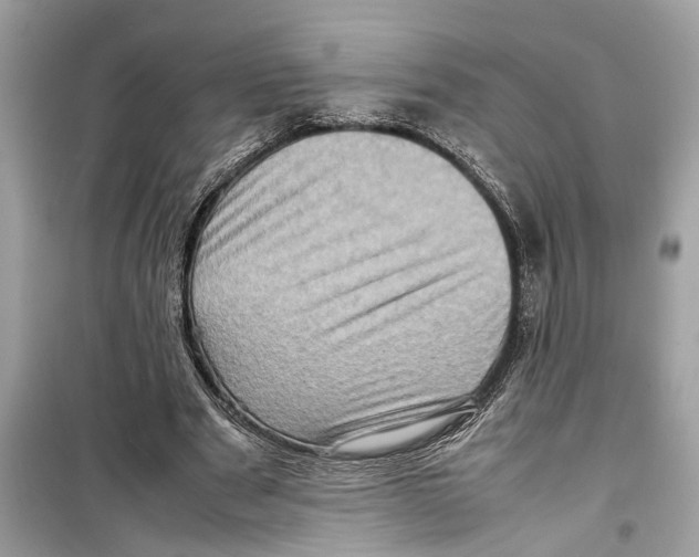 X0000098220489200805221651