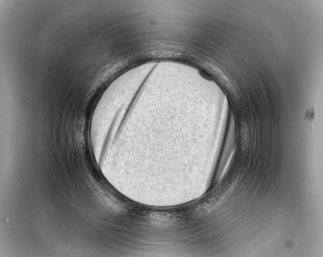X0000098220490200805221651