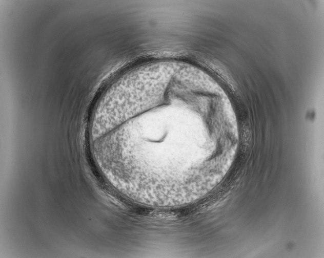 X0000098220491200805221651