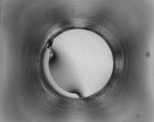 X0000098220492200805221651