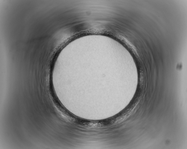X0000098220493200805221651