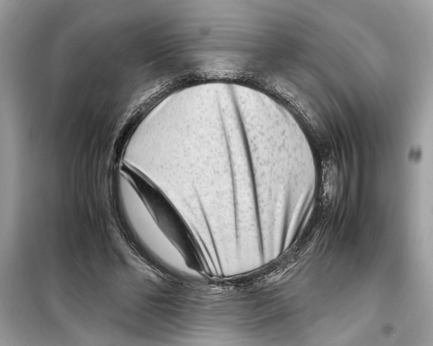 X0000098220494200805221651