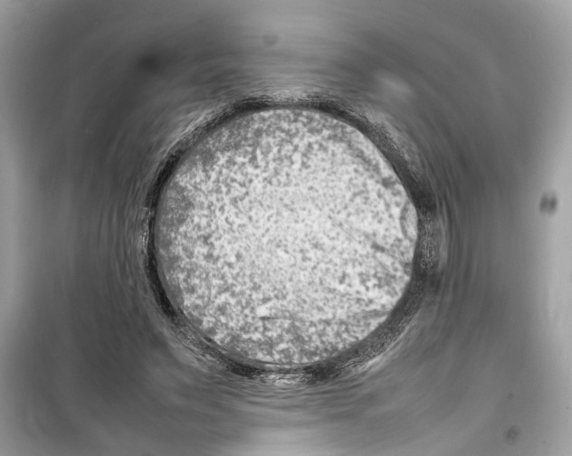 X0000098220495200805221651