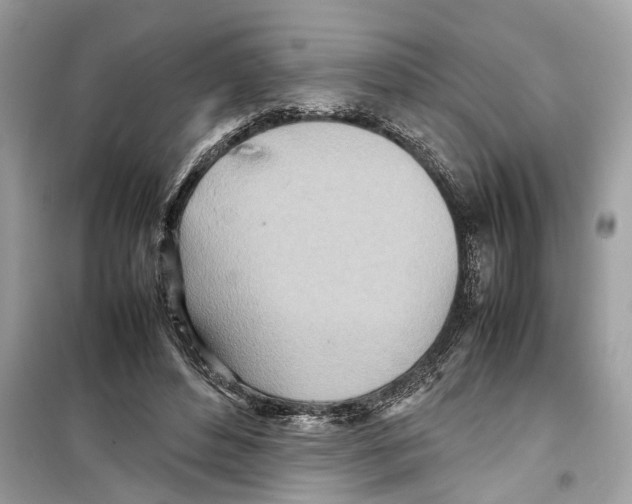 X0000098220496200805221651
