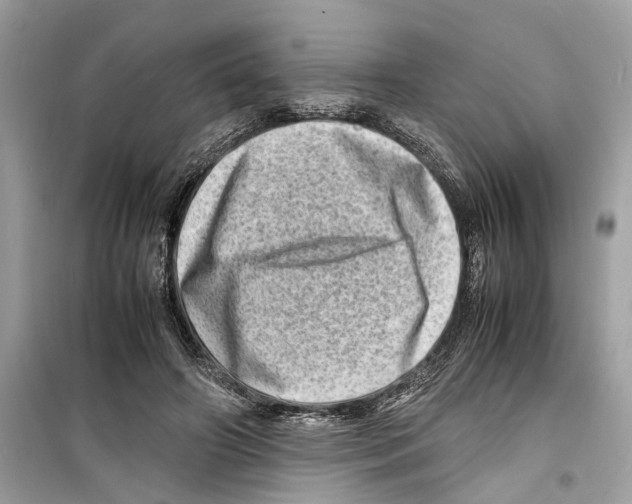 X0000098220498200805221651