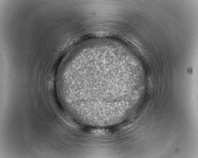X0000098220499200805221651