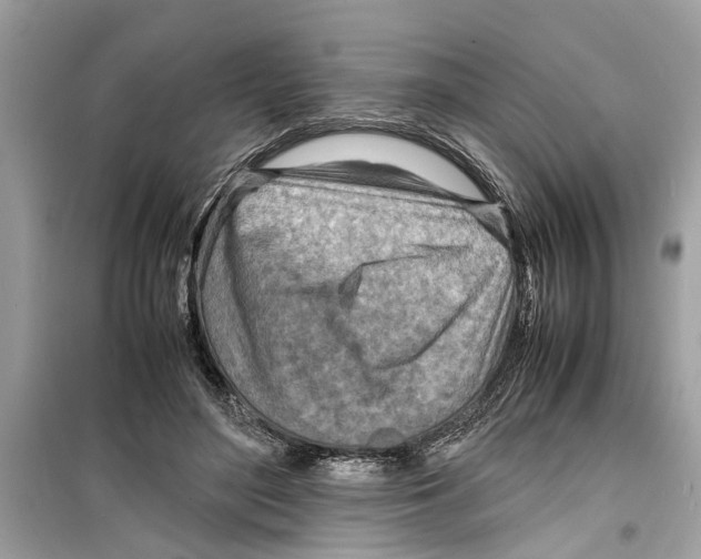 X0000098220500200805221651