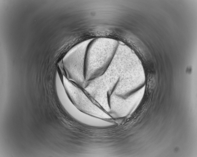 X0000098220501200805221651