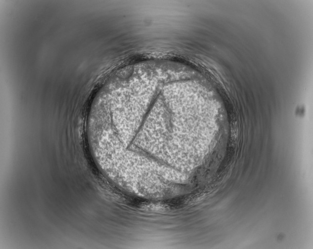 X0000098220503200805221651