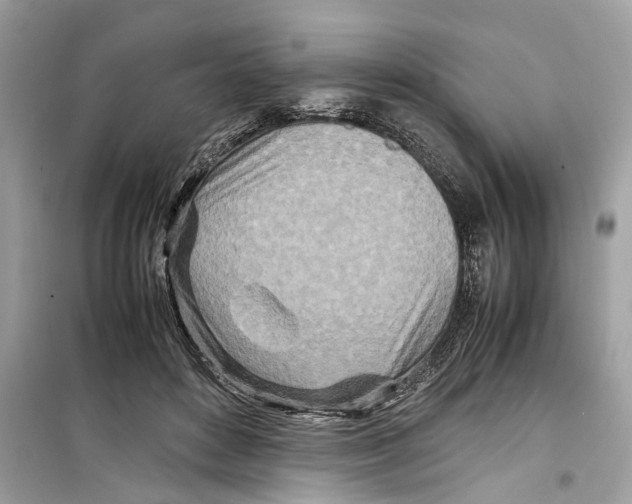 X0000098220504200805221651