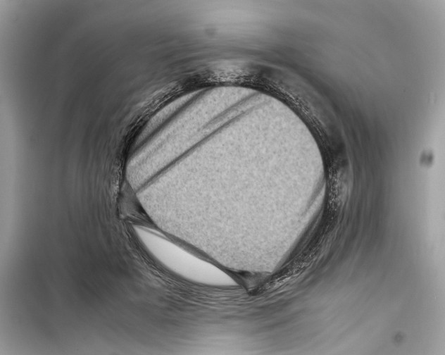X0000098220505200805221651