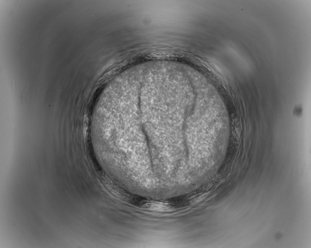 X0000098220507200805221651