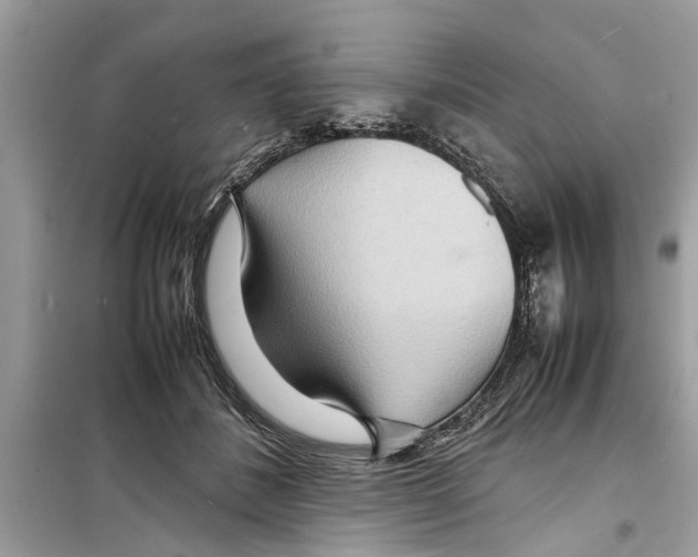 X0000098220508200805221651