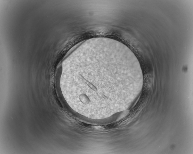 X0000098220509200805221651