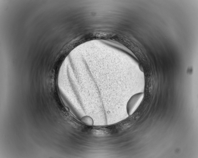 X0000098220510200805221651