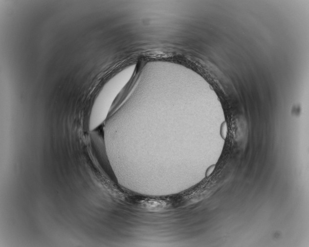 X0000098220512200805221651