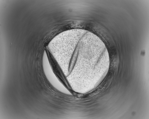 X0000098220513200805221651