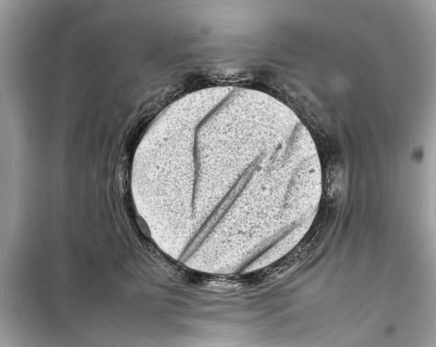 X0000098220515200805221651