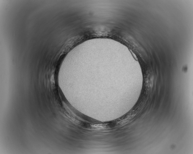 X0000098220516200805221651