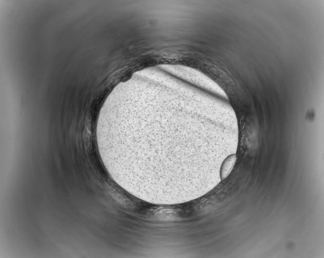 X0000098220518200805221651