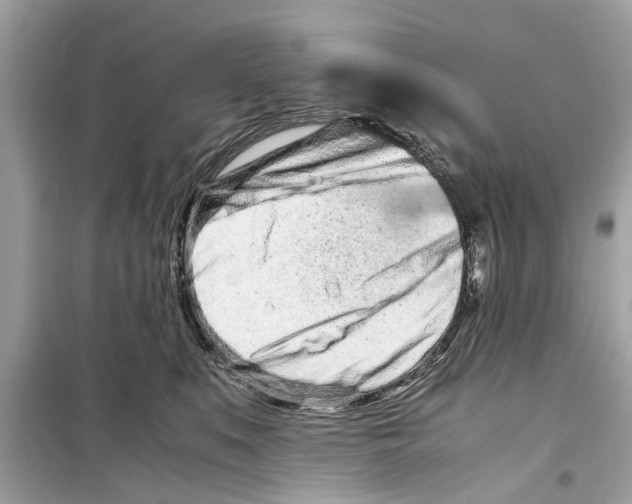 X0000098220519200805221651
