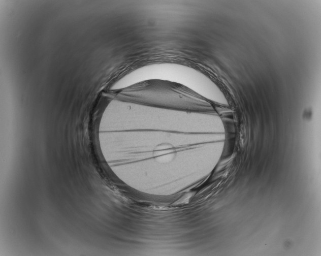 X0000098220520200805221651