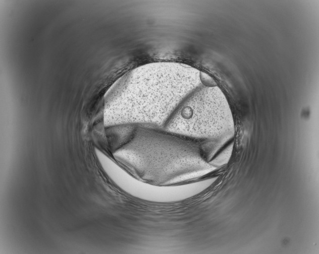 X0000098220521200805221651