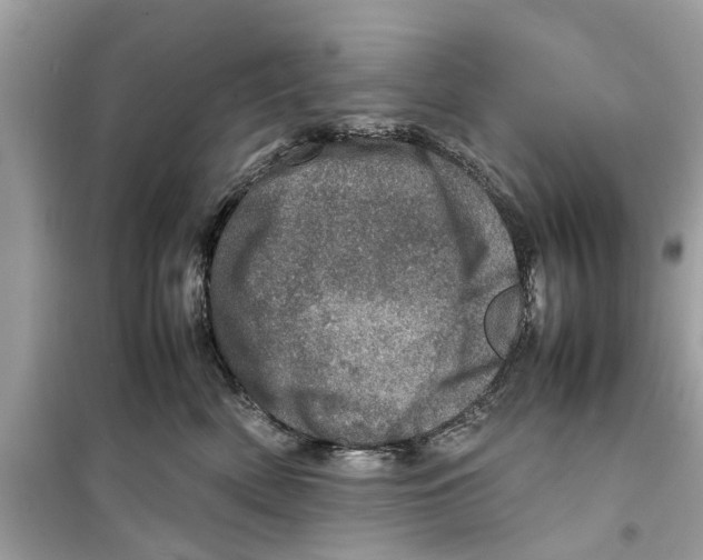 X0000098220522200805221651
