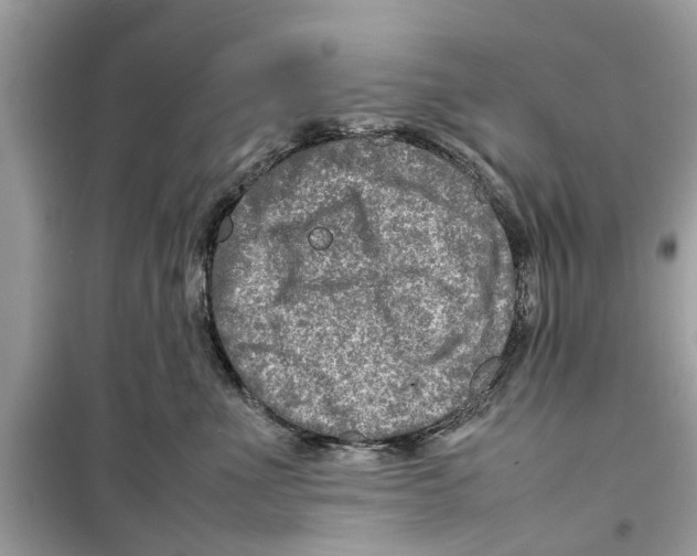X0000098220523200805221651